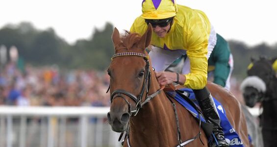 © TATTERSALLS