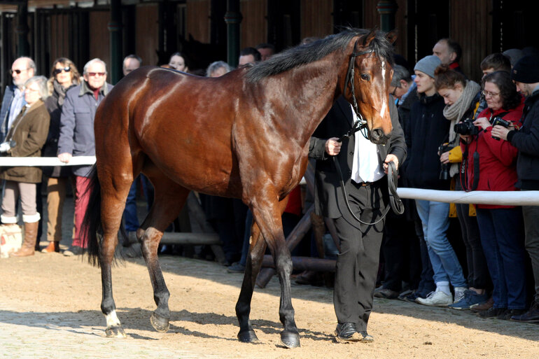 Galleriebild: media-1