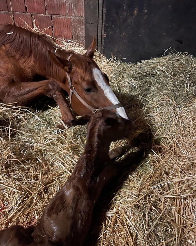 Galleriebild: media-1