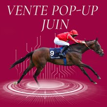© Arqana Online