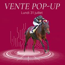 © Arqana Online