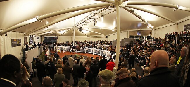 © Tattersalls Cheltenham