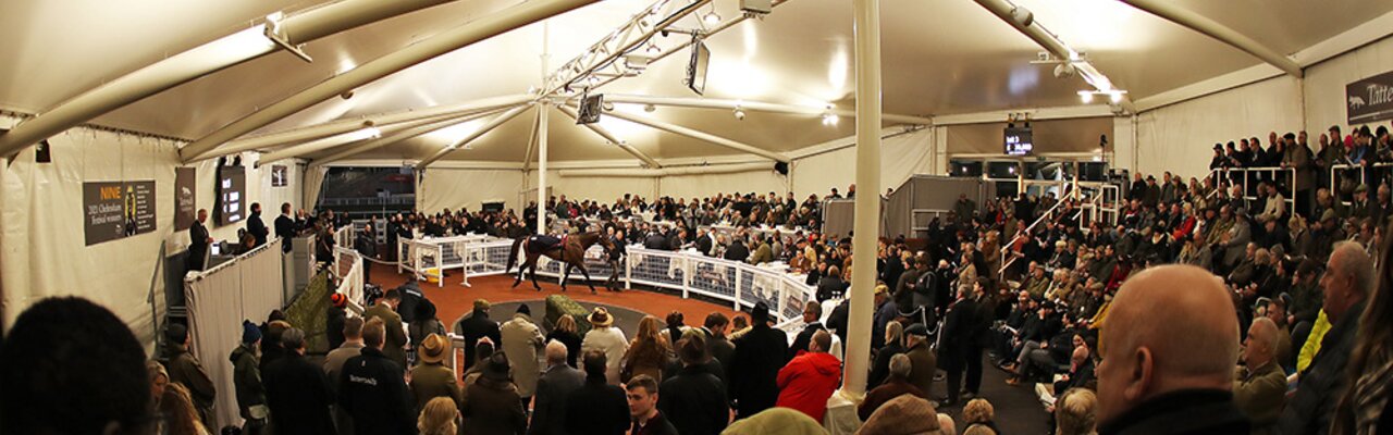 © Tattersalls Cheltenham
