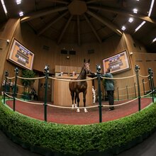 © Keeneland