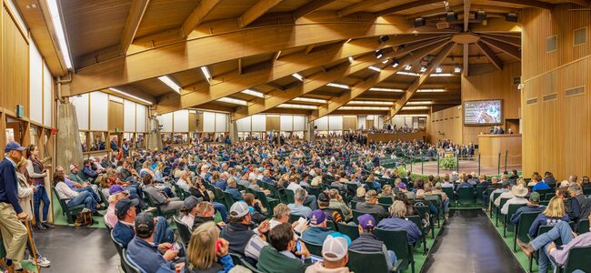 © Keeneland