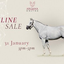 © Arqana Online