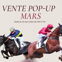 © Arqana Online