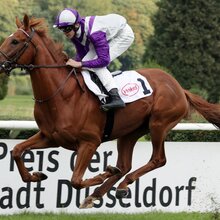 © Galoppfoto.de