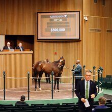 © Keeneland Photo / Photos by Z
